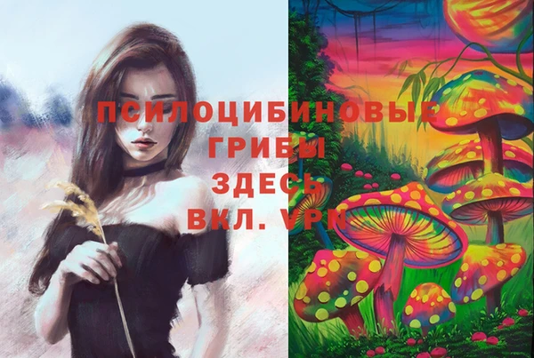 метамфетамин Армянск